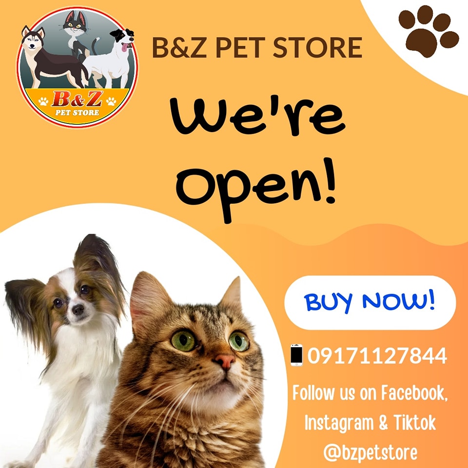 BZ Pet Store