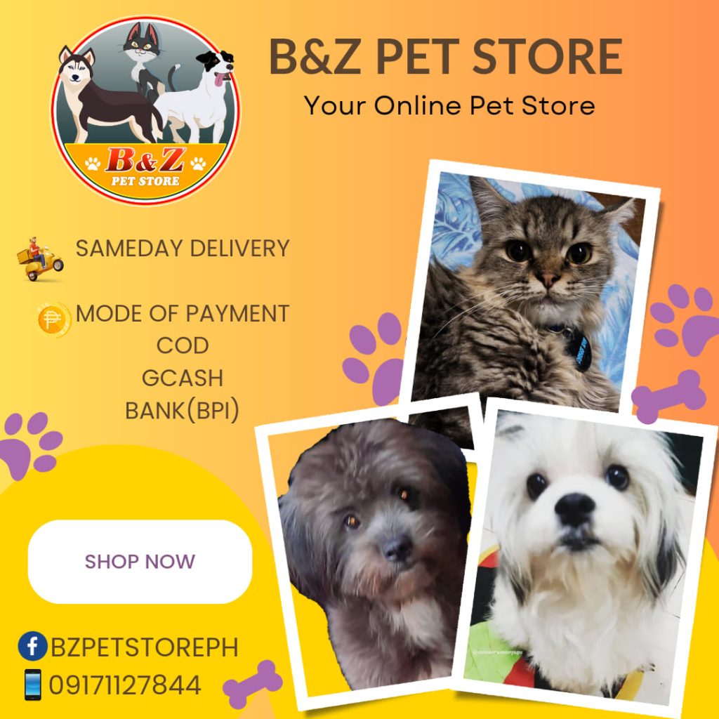 BZ Pet Store