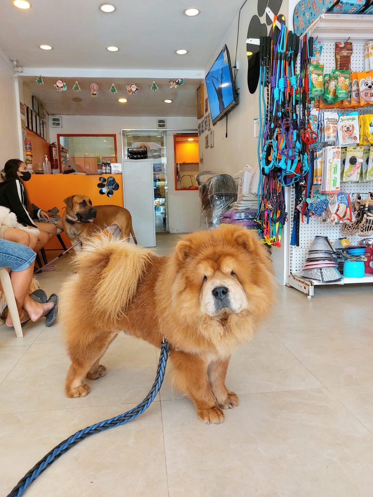 Fur and Paw Pet Shop Grooming and Pet supplies