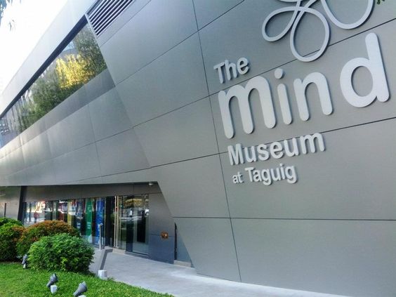 The Mind Museum