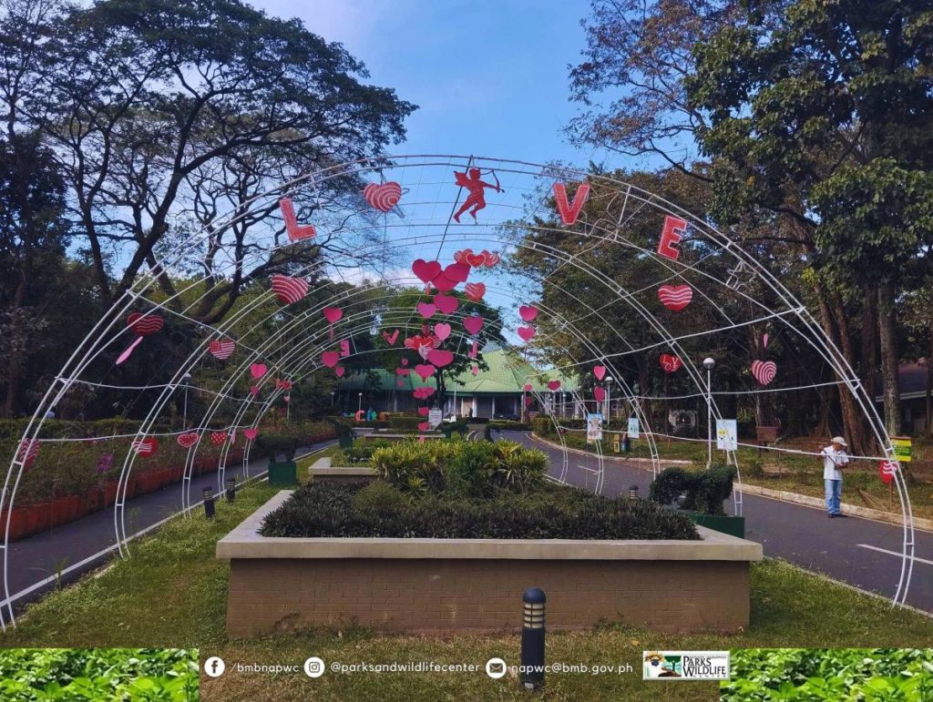 Ninoy Aquino Parks And Wildlife Center