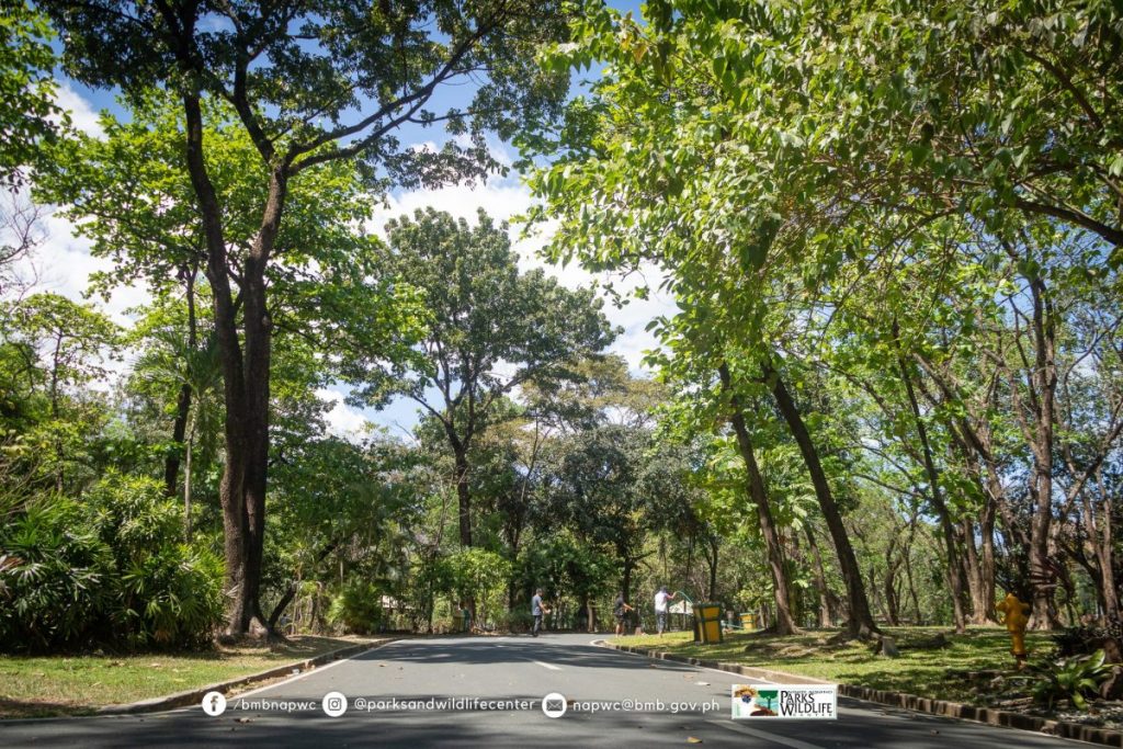 Ninoy Aquino Parks And Wildlife Center