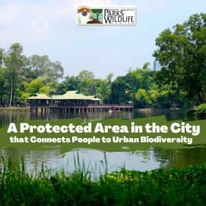 Ninoy Aquino Parks And Wildlife Center