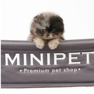 MINIPET Philippines Premium Petshop