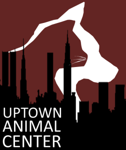 Uptown Animal Center